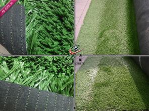 草国产,探寻自然与文化的交融之地